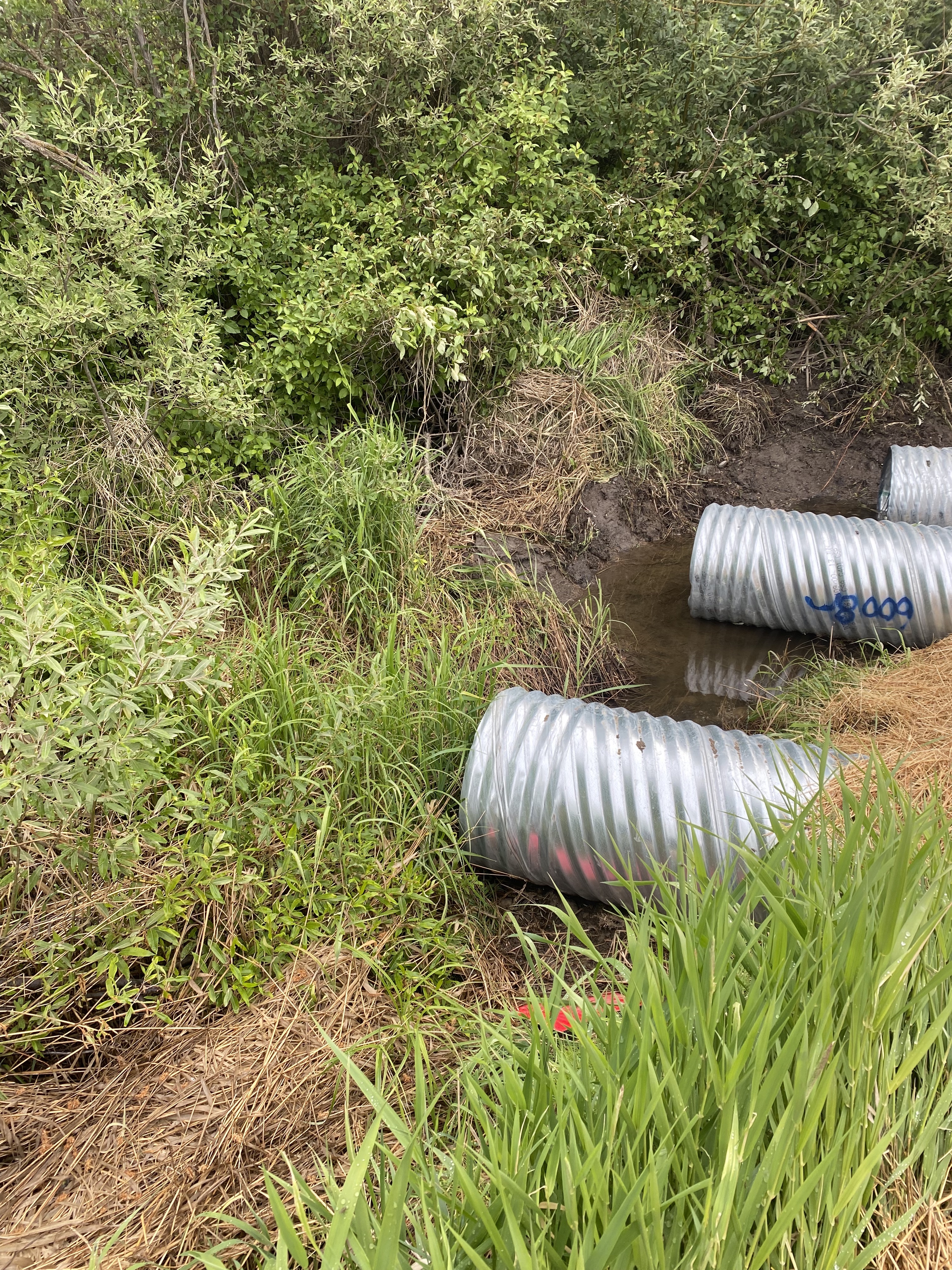 poorly placed culverts