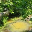 Knight Creek - July 2025