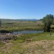 Halltray Farm  BDA