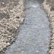 Bypass created during the culvert replacement.