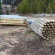 Posts for building the fence.