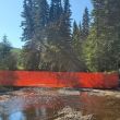 Ways of keeping livestock out of the creek bed.
