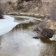 Greer Creek.