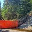 Ways of keeping livestock out of the creek bed.