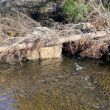 Creating diversions to redirect livestock.
