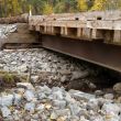 2021-bridge-2 copy 2.jpg