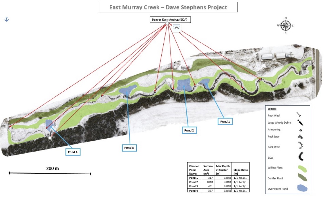 map of East Murray Creek overwintering pond study